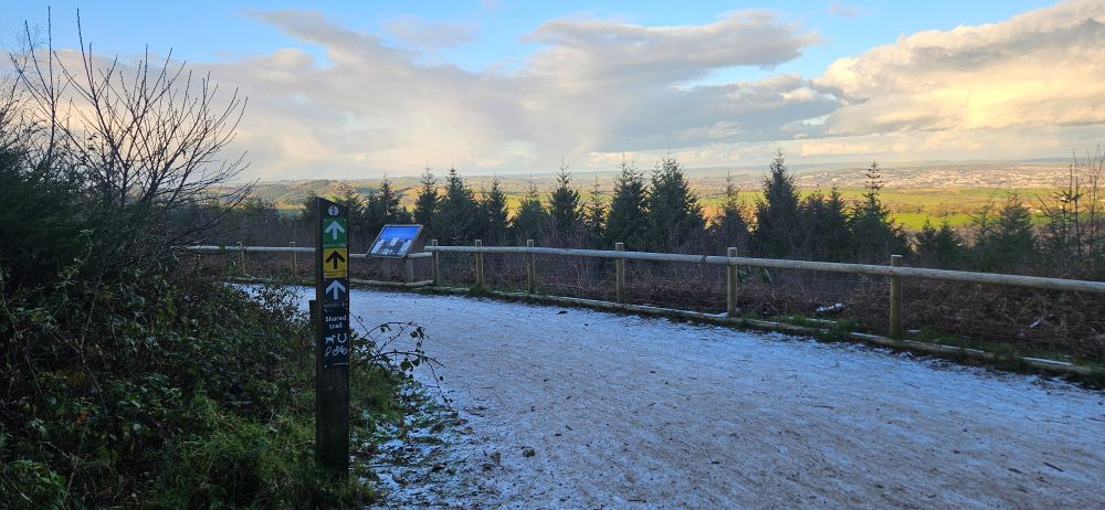 Haldon Forest Park Trails